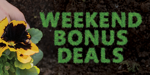 Weekend Bonus Deals - Save through Sunday.