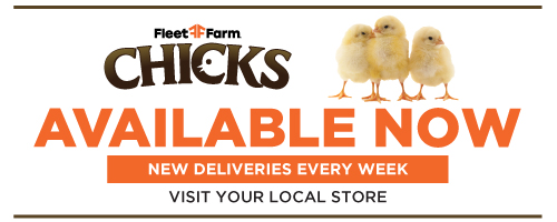 Chicks available in stores now. New deliveries every week. Visit your local store.