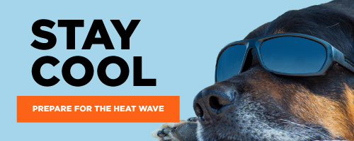 Stay Cool. Prepare for the heat wave.