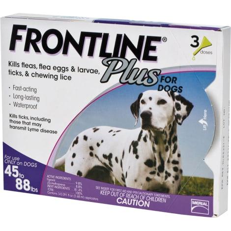 Pet Health