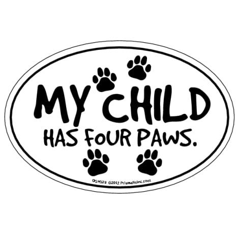 Pet Lover's Accessories