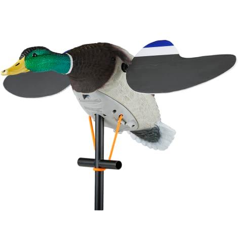 Decoys