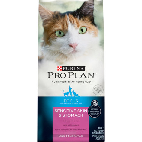 Cat Food & Supplies