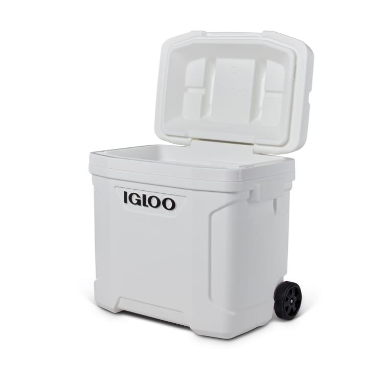 igloo ecocool latitude 30 cool box