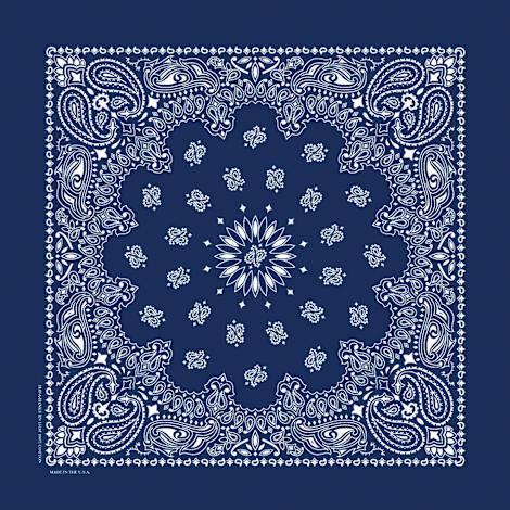 Adult Blue Paisley Print Bandannas - 2 Pk by Hav-A-Hank at Fleet Farm