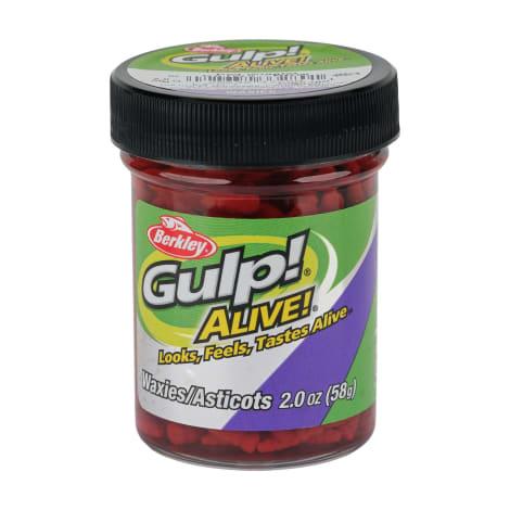 2 oz Gulp Alive Waxies Red Wiggler Jar by Berkley at Fleet Farm