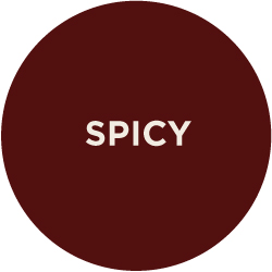 Spicy BBQ sauces and bold dry rub blends