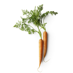 Carrots
