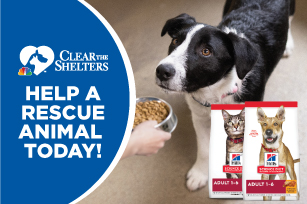 Clear the Shelters