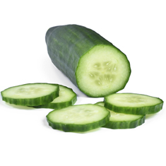 Cucumber