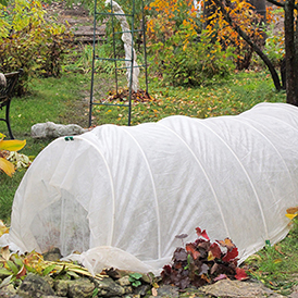 plants in a garden covered by protective plastic