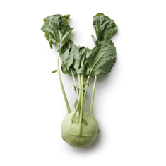 Kohlrabi