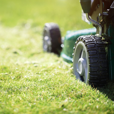 Lawn mower cutting grass