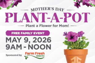 Mothers Day Make N Take