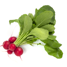 Radishes