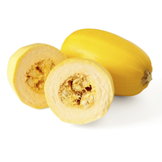 Squash