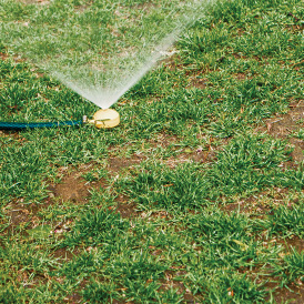 watering grassy lawn spots for repair
