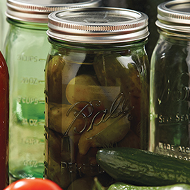 Pickling 101 Recipie