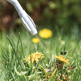 Weed Control for Lawn and Garden - Fleet Farm Garden Center